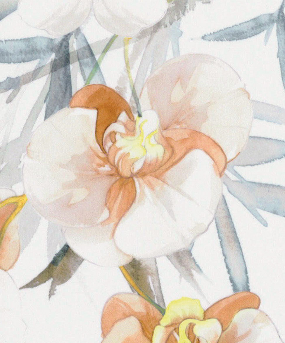 Satino patalynės komplektas Orchidea, Ecru spalva