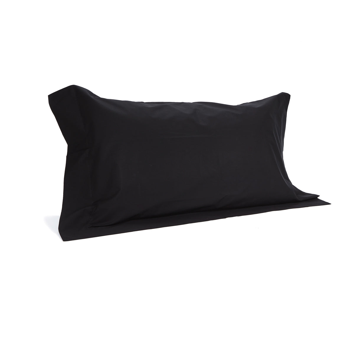 Skaidrės vaizdas